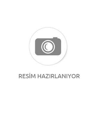 Sıtıl Sungerlı Hazır Boya 200 Ml Sıyah