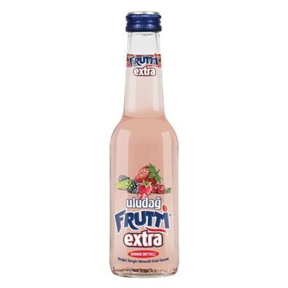 Uludağ Frutti Extra Orman Meyveli 250 ml